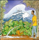 Copertina  Aliou dell'acqua